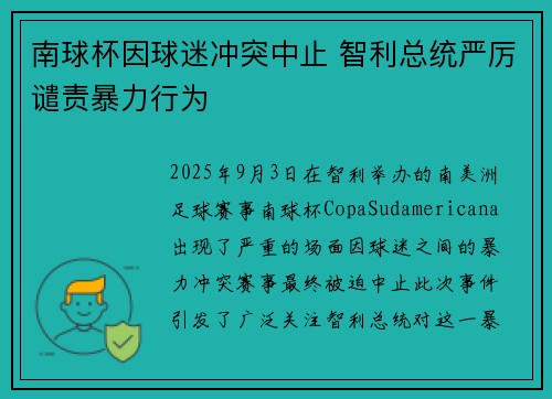 南球杯因球迷冲突中止 智利总统严厉谴责暴力行为